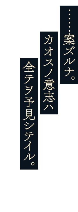 ……案ズルナ。カオスノ意志ハ全テヲ予見シテイル。