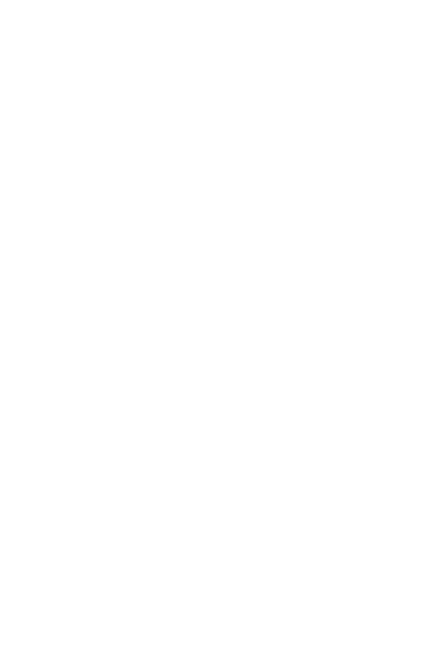 自由の仮面・リバル