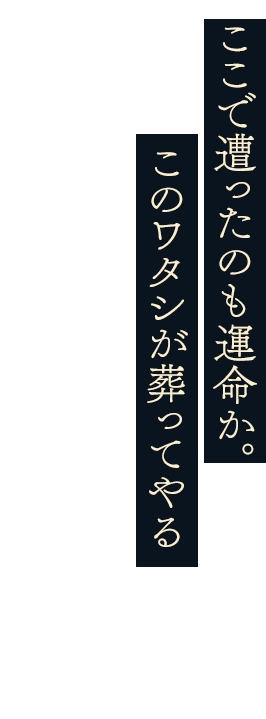 ここで遭ったのも運命か。このワタシが葬ってやる。